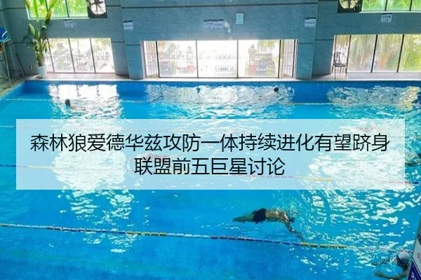 森林狼爱德华兹攻防一体持续进化有望跻身联盟前五巨星讨论